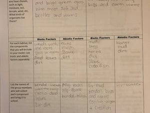 Biome in Bottle- Worksheet Page 1
